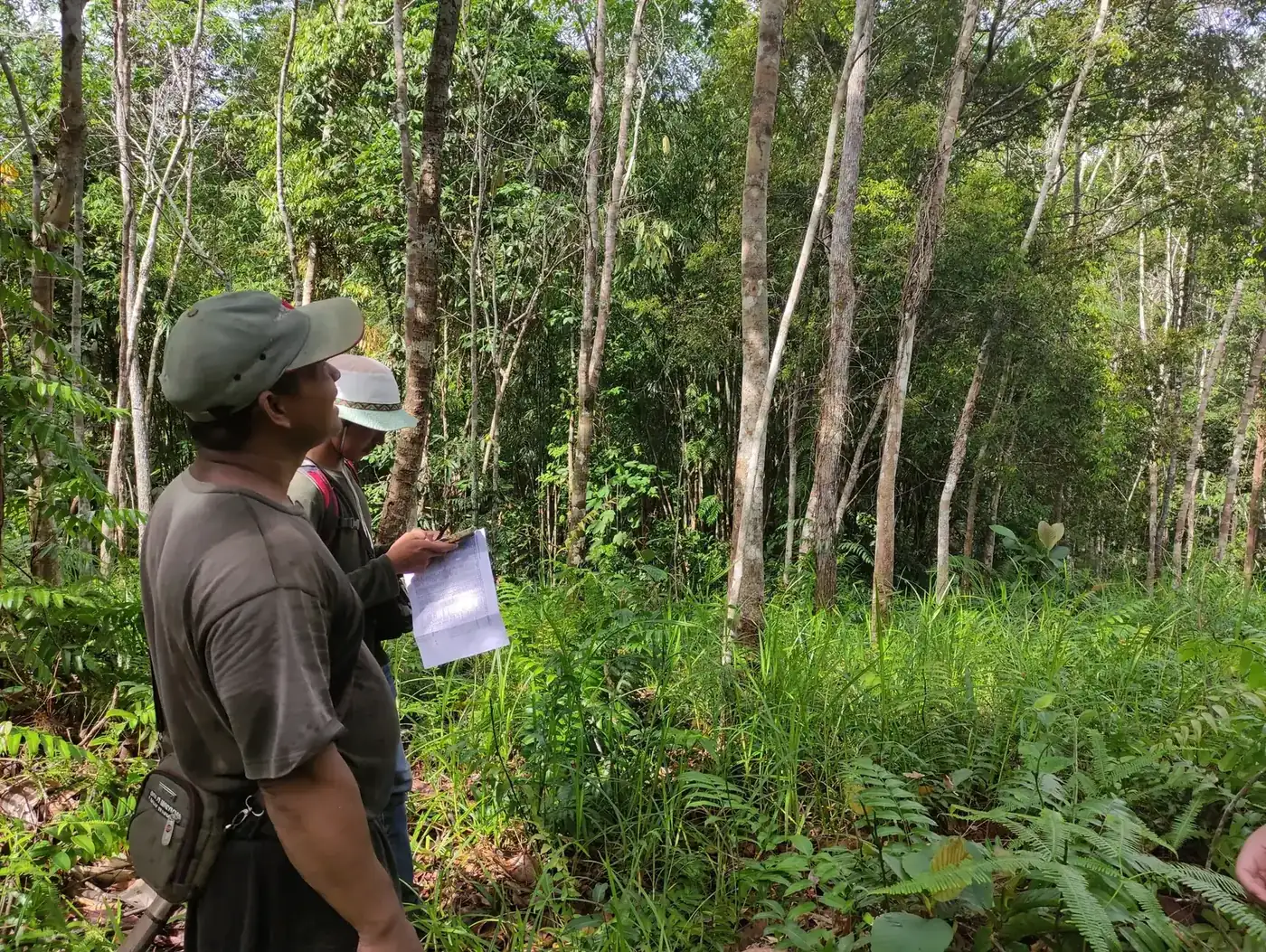 Dua orang mengamati kondisi hutan sambil membawa catatan